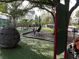 Wier Park 3012 Nottingham Street, West University Place, TX 77005 (82).JPG